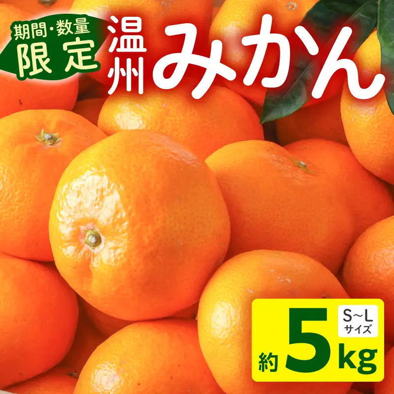 果物 温州みかん 果物[5kg 2026年～2027年発送先行予約]
