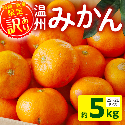 果物 温州みかん 果物[訳あり 5kg 2026年～2027年発送先行予約]