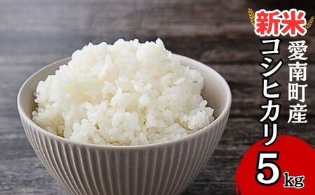 【新米】 令和7年産 コシヒカリ 5kg 新米 愛媛県 愛南町 青果市場