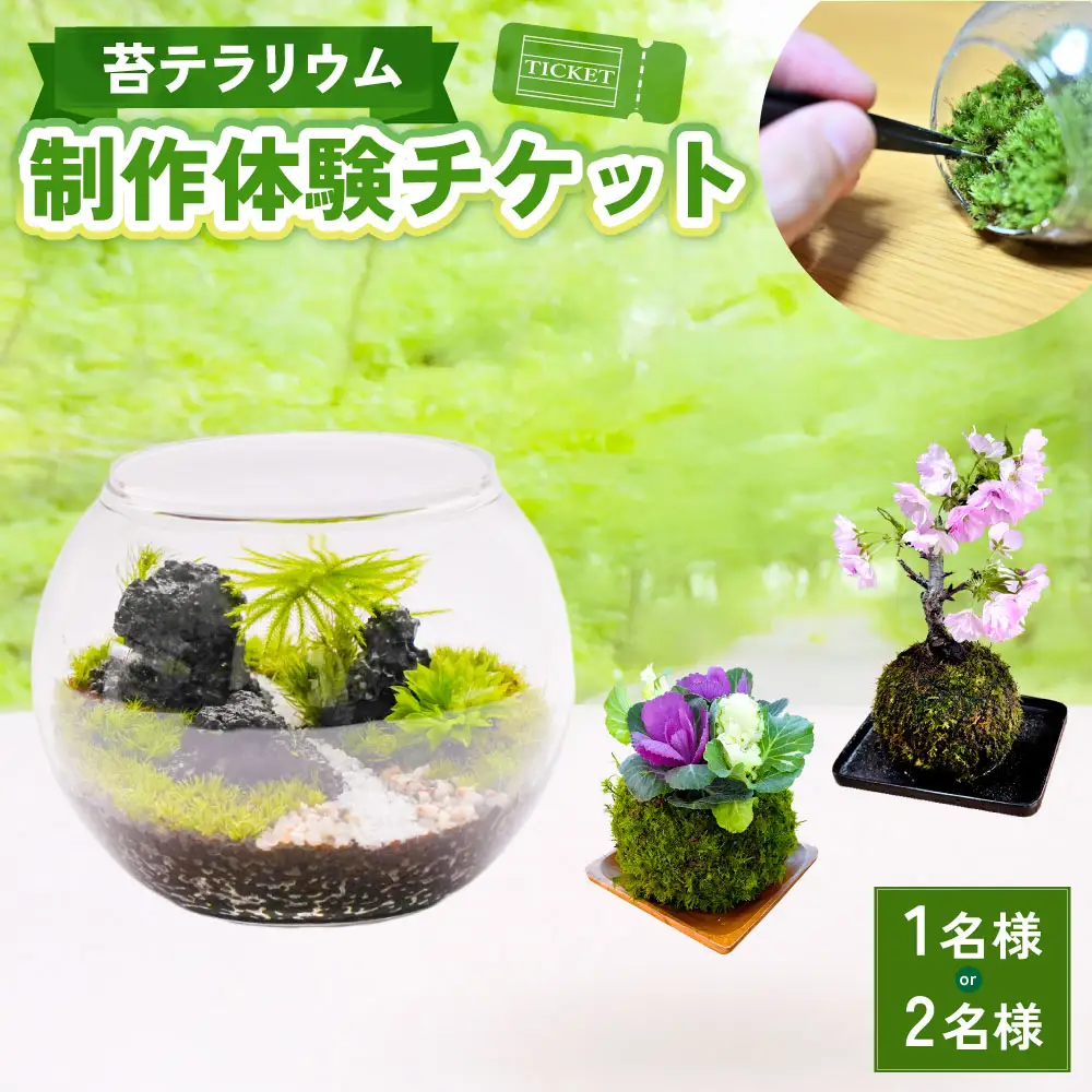 苔テラリウムの制作体験チケット 