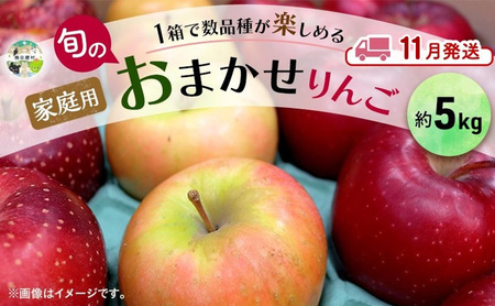 りんご詰合せ 品種おまかせ青森県産家庭用 りんご詰合せ【約5kg 2〜4品種】【11月発送】