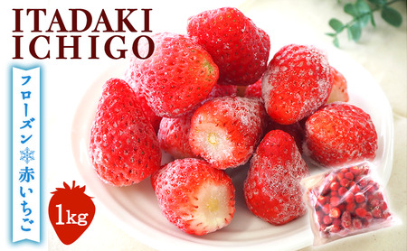 いちご 冷凍いちご フルーツ 果物 いちご【1kg】【訳あり】【冷凍】