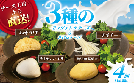 モッツァレラ チーズ 3種＋ チギチー 4種セット  | 【 チーズ 】