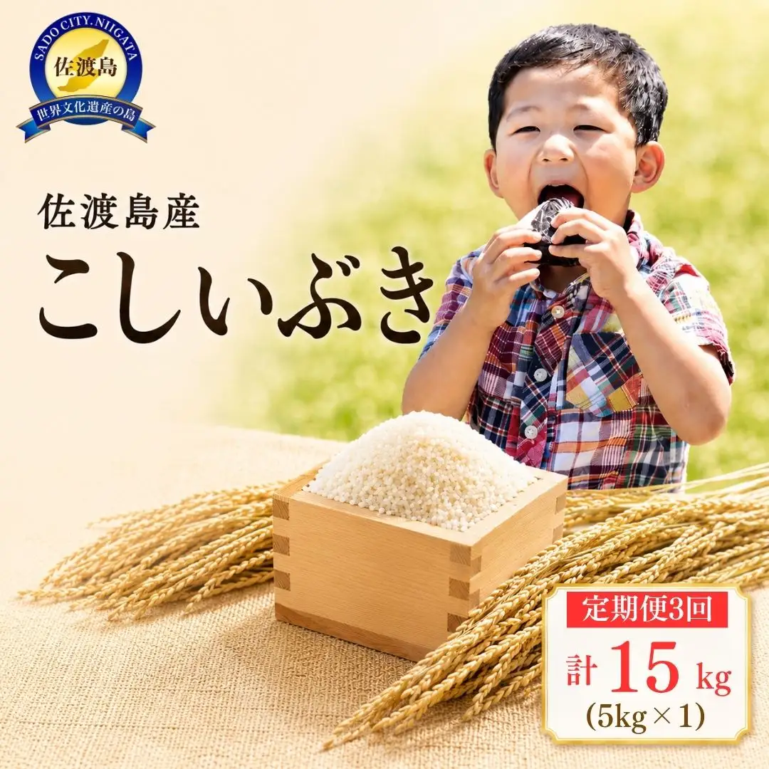 【定期便 3回 】こしいぶき 5kg| 新潟県 佐渡市 こしいぶき