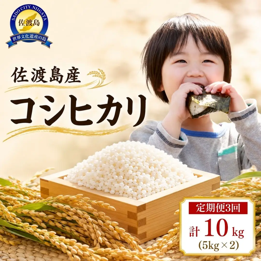 【定期便 3回 】コシヒカリ 5kg| 新潟県 佐渡市 コシヒカリ