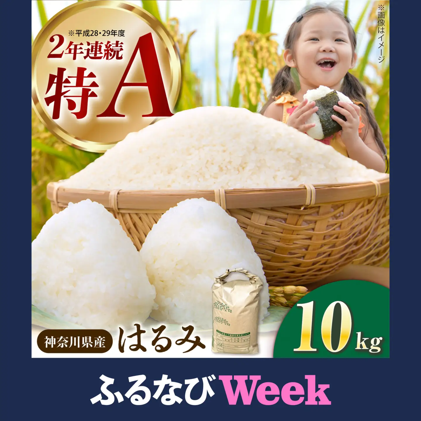 【ふるなびWEEK対象】【白米】はるみ米 10kg 白米 [BDBB003]