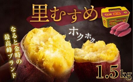 【予約受付中・2026年9月下旬頃より順次発送】なると金時 里むすめ 1.5kg　鳴門金時　さつま芋　サツマイモ　