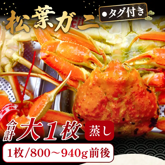 【蒸し】タグ付き松葉ガニ 大 1枚【松葉ガニ 松葉がに 松葉蟹 まつばがに かに カニ 冷蔵 チルド ブランド ズワイガニ 蒸し ボイル タグ付き 国産 季節限定 お取り寄せ お祝い 鳥取県 日吉津村 日本海】