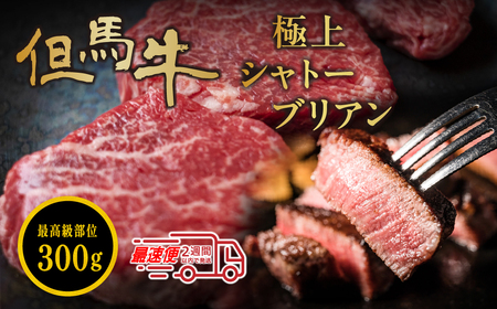 〈スピード出荷〉但馬牛 シャトーブリアン 《150g×2個 300g 》 シャトーブリアン  MSK007