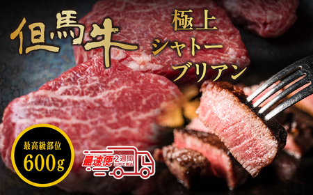 〈スピード出荷〉但馬牛 シャトーブリアン 《150g×4枚 600g 》 シャトーブリアン  MSK008