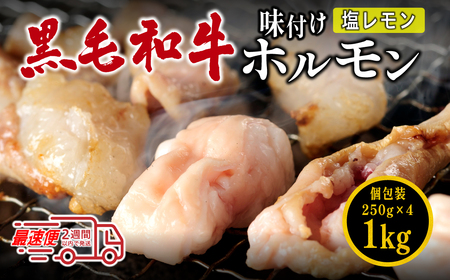 〈スピード出荷〉黒毛和牛ホルモン（塩レモン  小分け 1kg）ホルモン MSK022