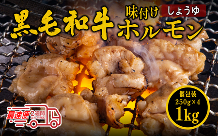 〈スピード出荷〉黒毛和牛ホルモン（しょうゆ 小分け 1kg）ホルモンMSK024