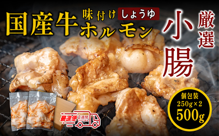 〈スピード出荷〉小腸ホルモン （しょうゆダレ 小分け 500g）ホルモン MSK029