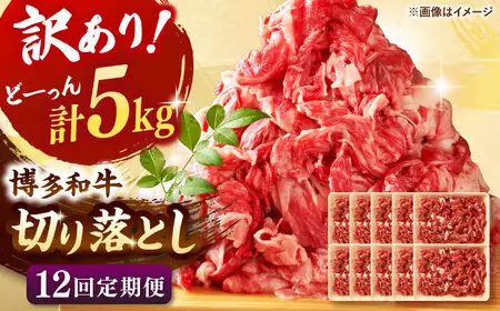 【全12回定期便】【訳あり】博多和牛 切り落とし 5kg(500g×10p） 桂川町/株式会社 MEAT PLUS [ADAQ131] 切り落とし肉 牛肉 国産 小分け 大容量