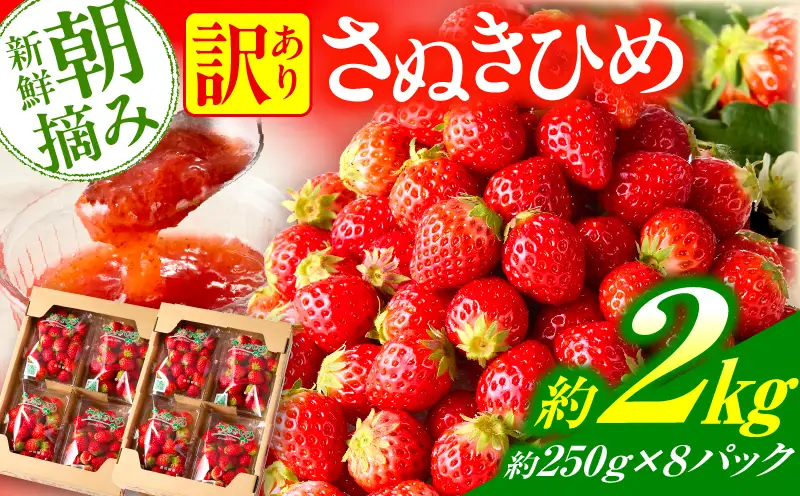 【先行予約】訳あり 苺音クラフト～加工用さぬきひめいちご約2kg | おすすめ 人気 果実 果肉 果物 フルーツ デザート 贈り物 苺 さぬきひめ 贈答 ご褒美 旬の果物 季節の果物 旬 季節 青果物 香川県 三木町 |_mk137-007