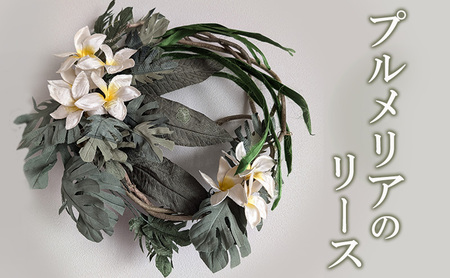 リース プルメリア 花 インテリア ギフト リース