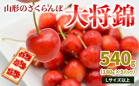 山形のさくらんぼ 大将錦 540g Lサイズ以上 (180g×3パック) 【令和9年産先行予約】FS25-017
