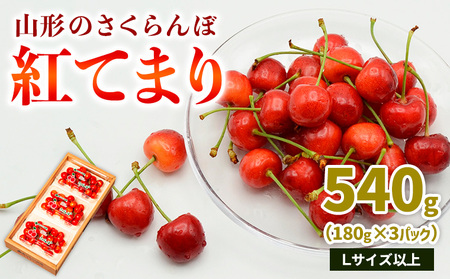 山形のさくらんぼ 紅てまり 540g Lサイズ以上 (180g×3パック) 【令和9年産先行予約】FS25-018