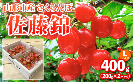 山形市産さくらんぼ【佐藤錦】Lサイズ 400g(200g×2パック)  【令和9年産先行予約】FS25-035