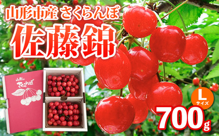 山形市産さくらんぼ【佐藤錦】Lサイズ 700g バラ詰め 【令和9年産先行予約】FS25-036