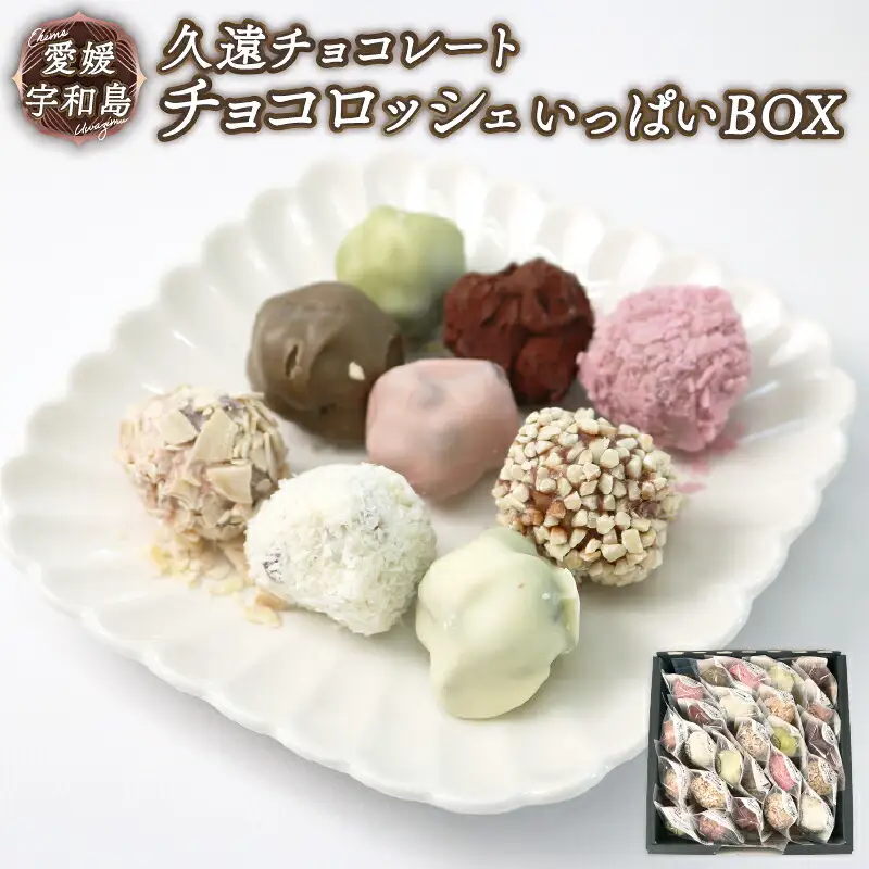 ロッシェ 25個 久遠 チョコレート ちょこちょこ チョコレート J010-167007