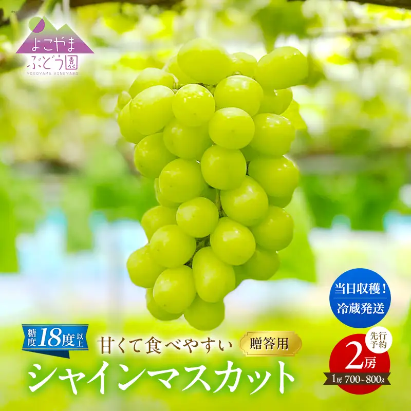 【先行予約】 シャインマスカット 2房計1.4kg～1.6kg《贈答用/熨斗なし化粧箱》