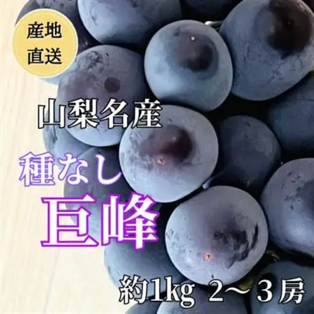◆2026年発送◆産地直送 山梨名産!種なし巨峰 2～3房(約1kg)【配送不可地域：離島】【1644828】