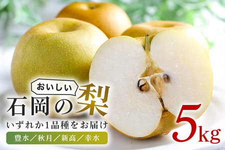 石岡のおいしい梨5kg  A39-002
