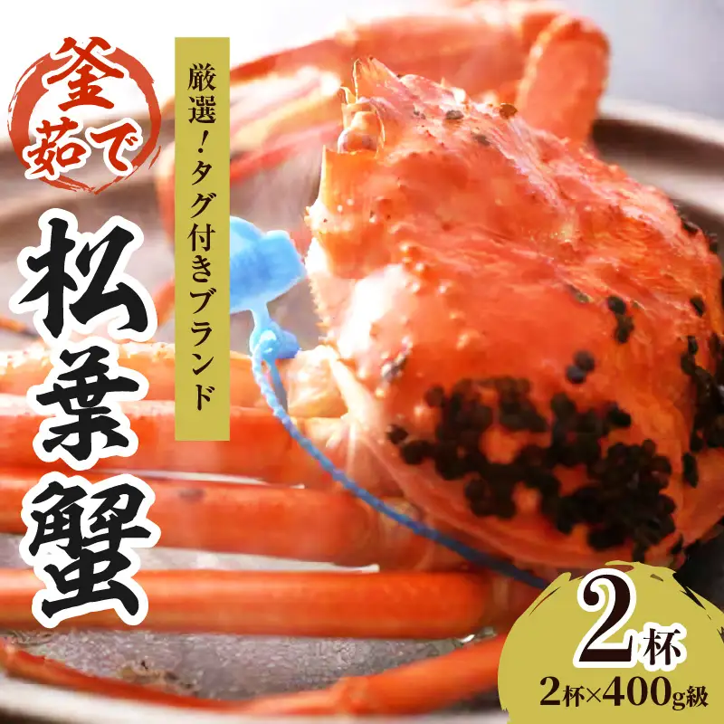 【厳選！！タグ付きブランド】茹で松葉かに 鮮度抜群、釜茹でにてお届け！！ 400g級×2杯　国産 海産物 甲殻類 かに ずわいがに 松葉かに 茹で ボイル 京都 京丹後 海鮮 ふるさと納税 かに まつばがに 松葉ガニ 海祥 送料無料