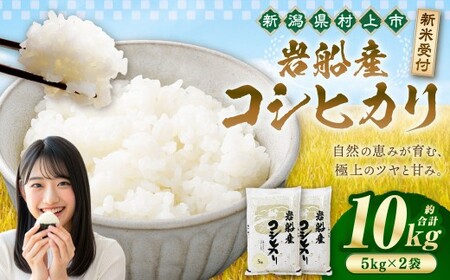 【新米受付・令和8年産米】新潟県村上市岩船産　岩船産コシヒカリ10kg（5kg×2袋）　1102002N