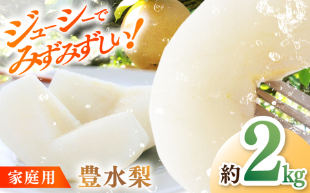 【先行予約】 川渕果樹園 豊水梨 約2kg 家庭用 〈2025年10月?発送〉 / 梨 なし ナシ 豊水 果物 フルーツ デザート 夏 秋 ヘルシー 健康 水分補給 【株式会社Dorago】[ATAM056]