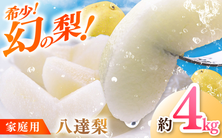 【先行予約】 川渕果樹園 八達梨 約4kg 家庭用 〈2025年10月?発送〉 / 梨 なし ナシ 果物 フルーツ デザート 秋 甘い ジューシー 【株式会社Dorago】[ATAM061]