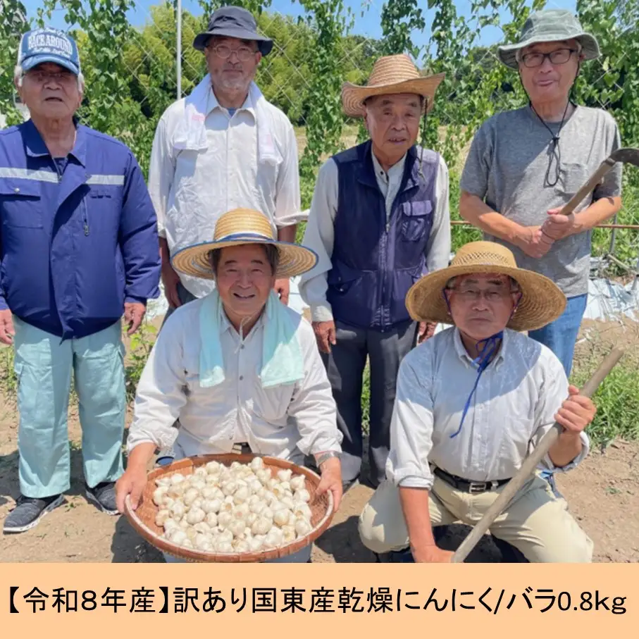 【令和８年産】【訳あり】毎日食べて元気モリモリ！国東産乾燥にんにく/バラ0.8kg/こだわり減農薬栽培_2611R 