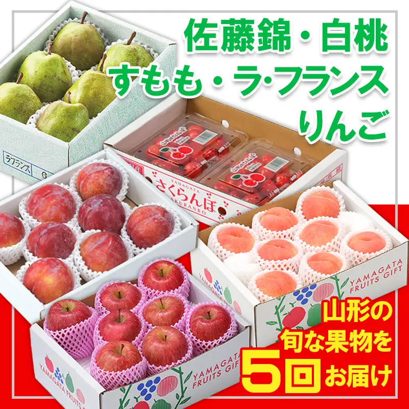 【定期便5回】☆フルーツ王国山形☆『佐藤錦、白桃、すもも、ラ・フランス、りんご』 FY25-321
