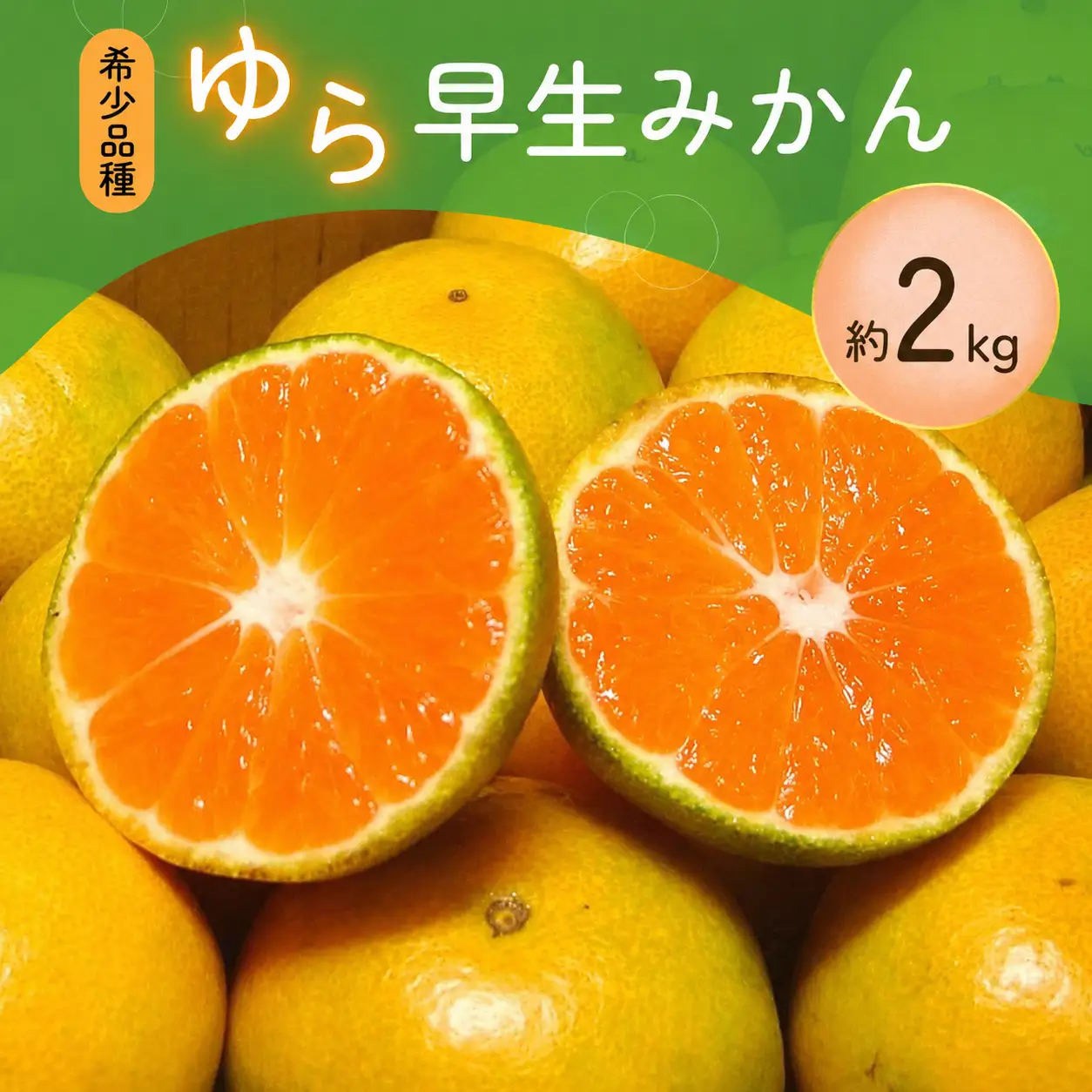【訳あり・ご家庭用】【希少品種】ご家庭用 みかん ゆら早生みかん 約2kg 光センサー選別 数量限定 サイズ混合 先行予約 家庭用 みかん ミカン 果物 くだもの フルーツ 早生みかん 5000円 【2026年10月上旬～11月下旬に順次発送予定】【CE-nuk143E】