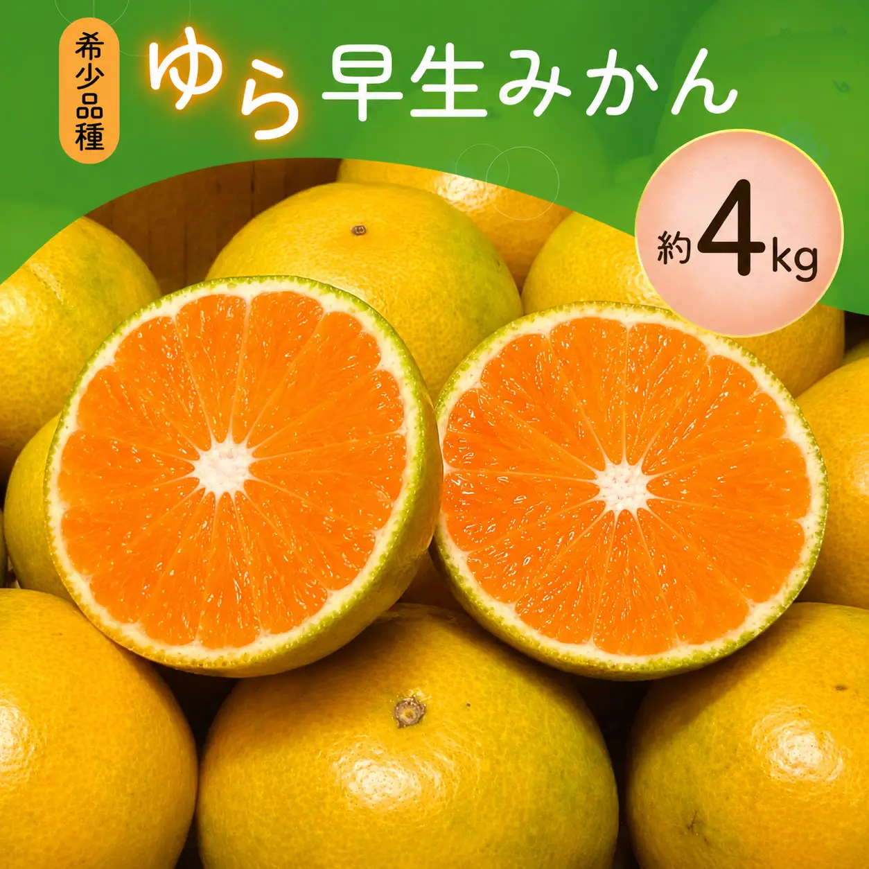 【訳あり・ご家庭用】 【先行予約】＼数量限定／ 希少品種 ご家庭用 ゆら早生みかん 約4kg サイズ混合【2026年10月上旬～11月下旬に順次発送予定】【CE-nuk162B】