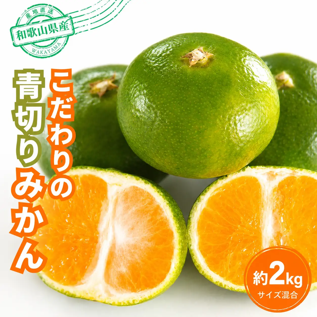 【訳あり・ご家庭用】 【農家直送】こだわりの青切りみかん 約2kg  有機質肥料100%　 サイズ混合　【2026年9月下旬～10月中旬頃発送予定（お届け日指定不可）】【CE-nuk169B】