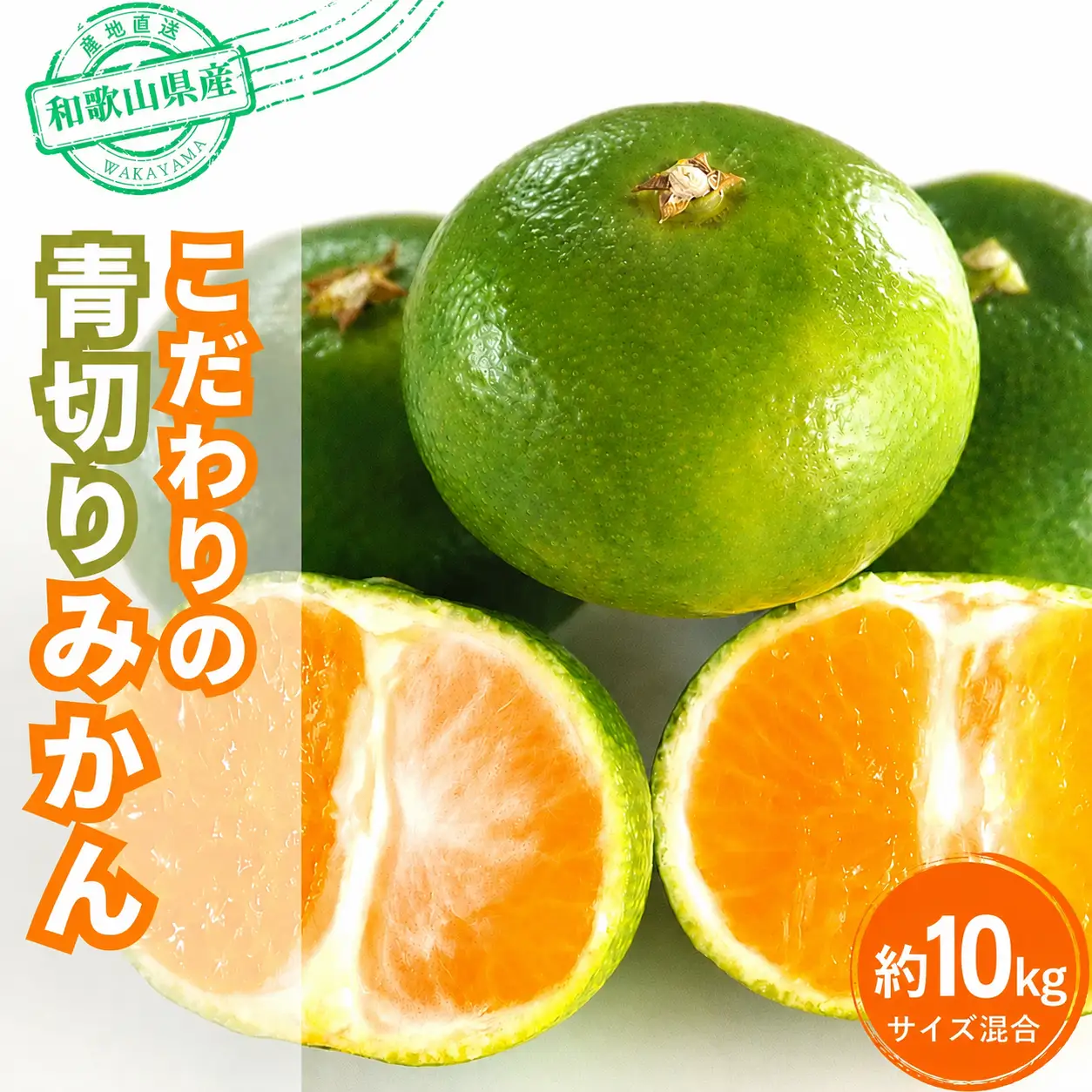 【訳あり・ご家庭用】【農家直送】こだわりの青切りみかん 約10kg 有機質肥料100%　 サイズ混合　【2026年9月下旬～10月中旬頃発送予定（お届け日指定不可）【CE-nuk108F】