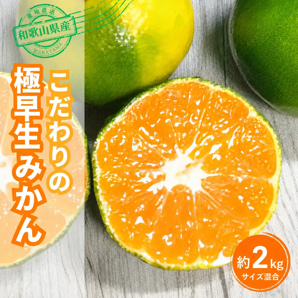 【訳あり・ご家庭用】 【農家直送】こだわりの極早生みかん 約2kg 【数量限定】 有機質肥料100% サイズ混合 【2026年9月下旬～10月中旬頃発送予定（お届け日指定不可）】 有田産【CE-nuk170B】