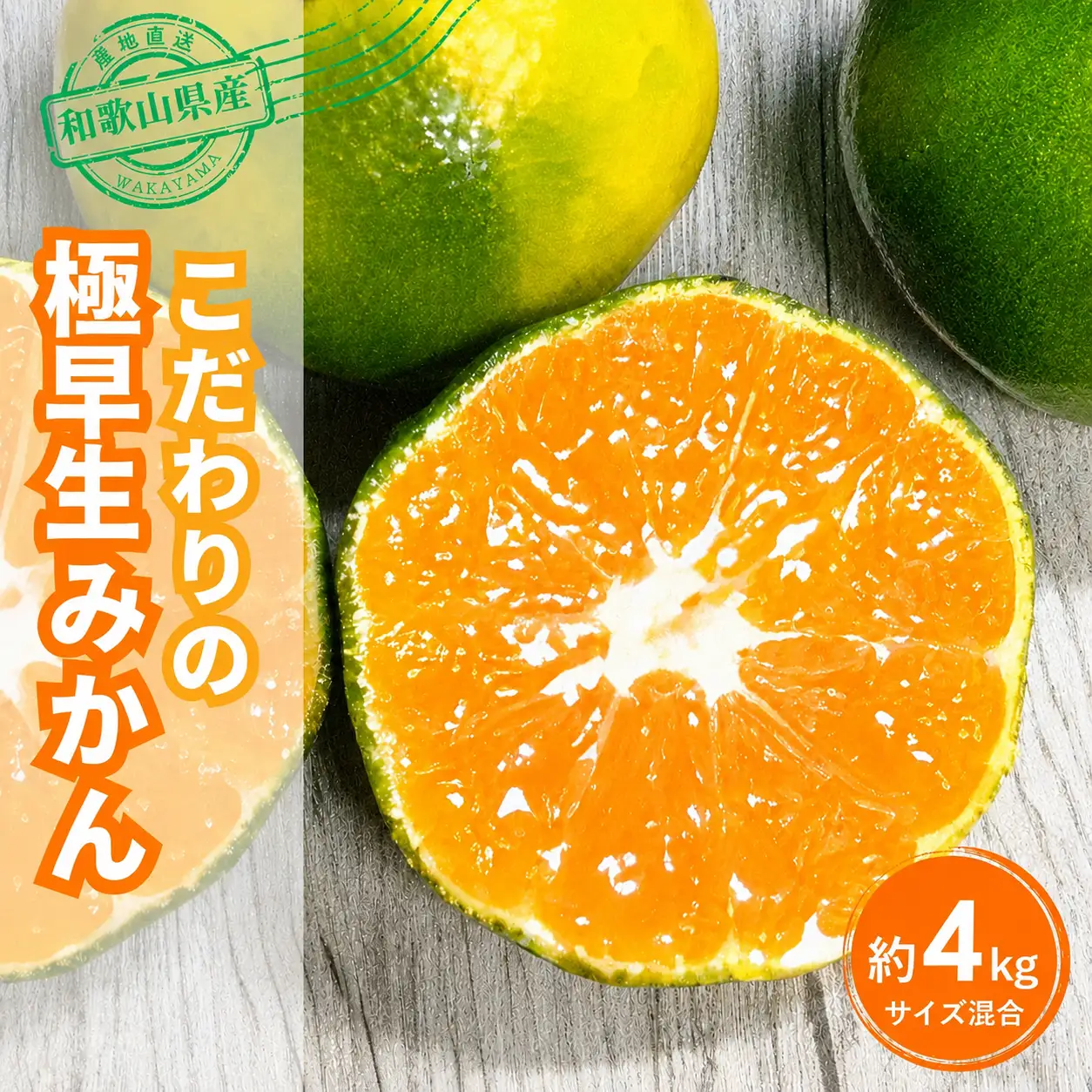 【訳あり・ご家庭用】 【農家直送】こだわりの極早生みかん 約4kg 【数量限定】 有機質肥料100% サイズ混合 【2026年9月下旬～10月中旬頃発送予定（お届け日指定不可）】 有田産【CE-nuk171B】