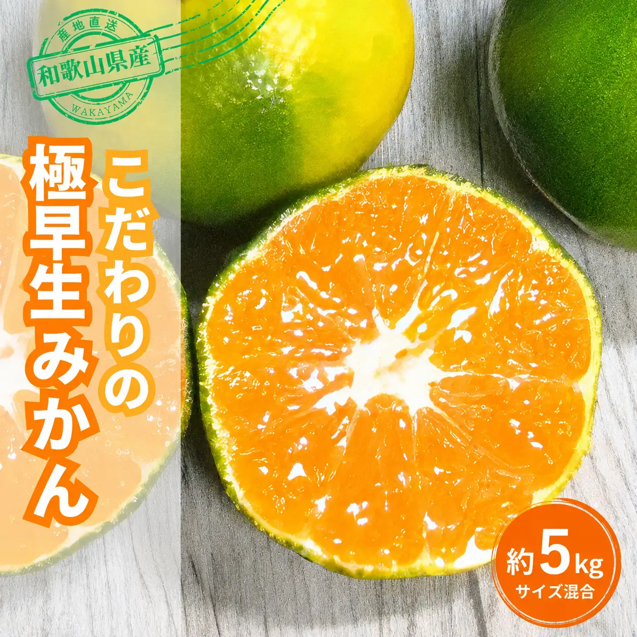 【訳あり・ご家庭用】 【農家直送】こだわりの極早生みかん 約5kg 【数量限定】 有機質肥料100% サイズ混合 【2026年9月下旬～10月中旬頃発送予定（お届け日指定不可）】【CE-nuk152D】