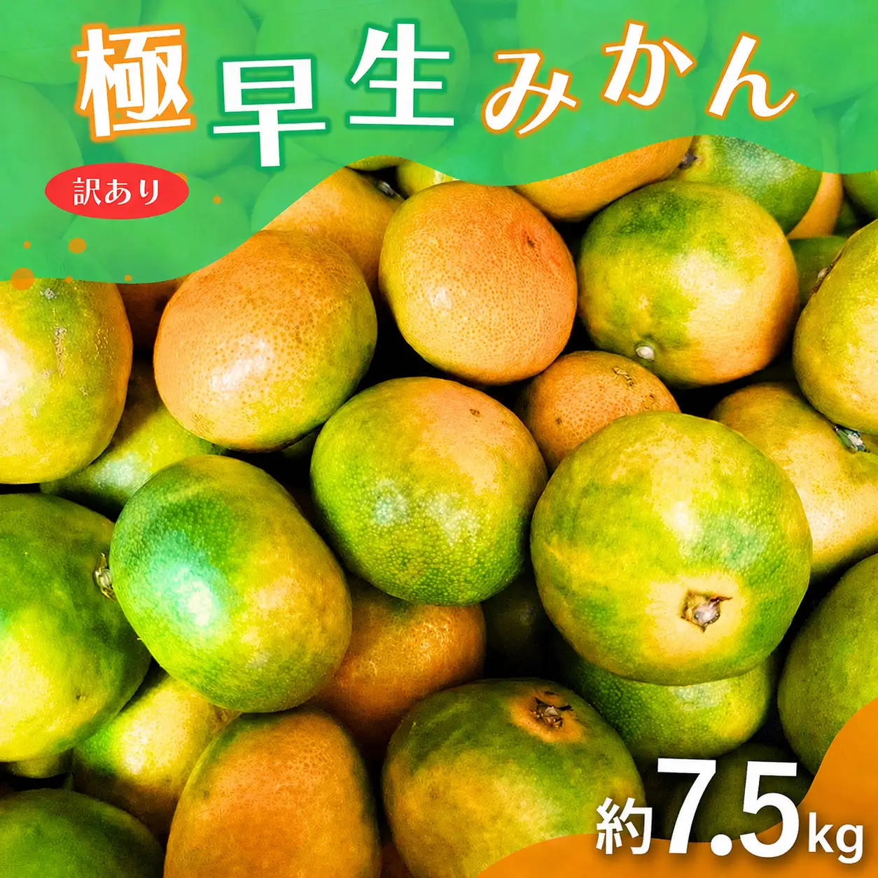 【訳あり・ご家庭用】こだわりの極早生みかん 約7.5kg 【2026年10月上旬～11月上旬に順次発送予定（お届け日指定不可）】 有機質肥料100% サイズ混合  有田産【CE-nuk166B】