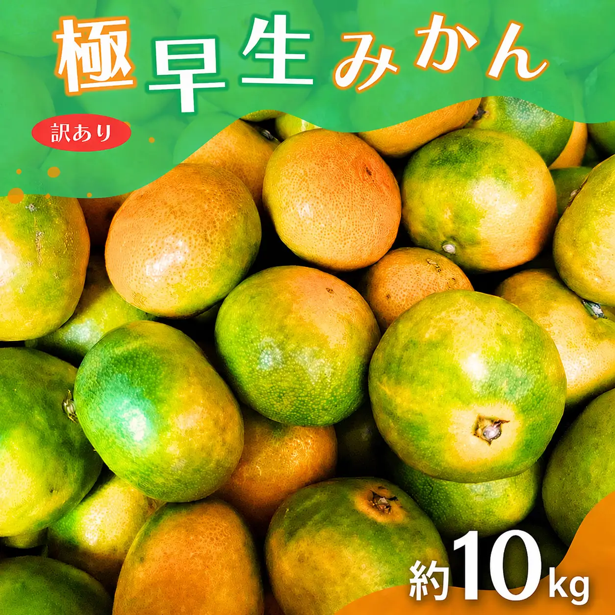 【訳あり・ご家庭用】こだわりの極早生みかん 約10kg 【2026年10月上旬～11月上旬に順次発送予定（お届け日指定不可）】 有機質肥料100% サイズ混合  有田産【CE-nuk167B】