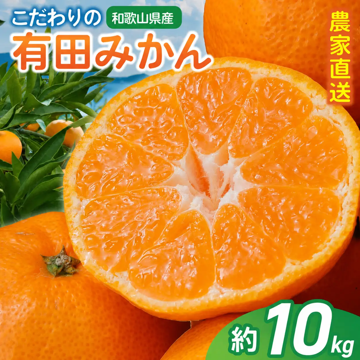 【訳あり・ご家庭用】農家直送 こだわりの 完熟 有田みかん 約10kg＋150g(傷み補償分) 【2026年12月中に順次発送予定】 有機質肥料100% 有田みかん みかん ミカン 蜜柑 柑橘 果物 フルーツ 甘い 温州みかん 先行予約 【CE-nuk101D-12】