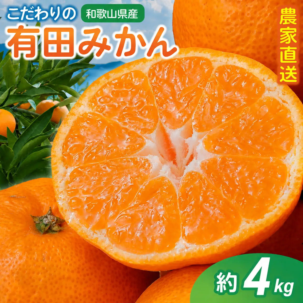 【訳あり・ご家庭用】こだわりの有田みかん 約4kg＋150g(傷み補償分) 【2026年10月中に順次発送予定】 光センサー選別 農家直送 / みかん ミカン 有田みかん 温州みかん 柑橘 フルーツ 果物 くだもの 旬 人気 みかん先行予約 家庭用 和歌山【CE-nuk148D-11】