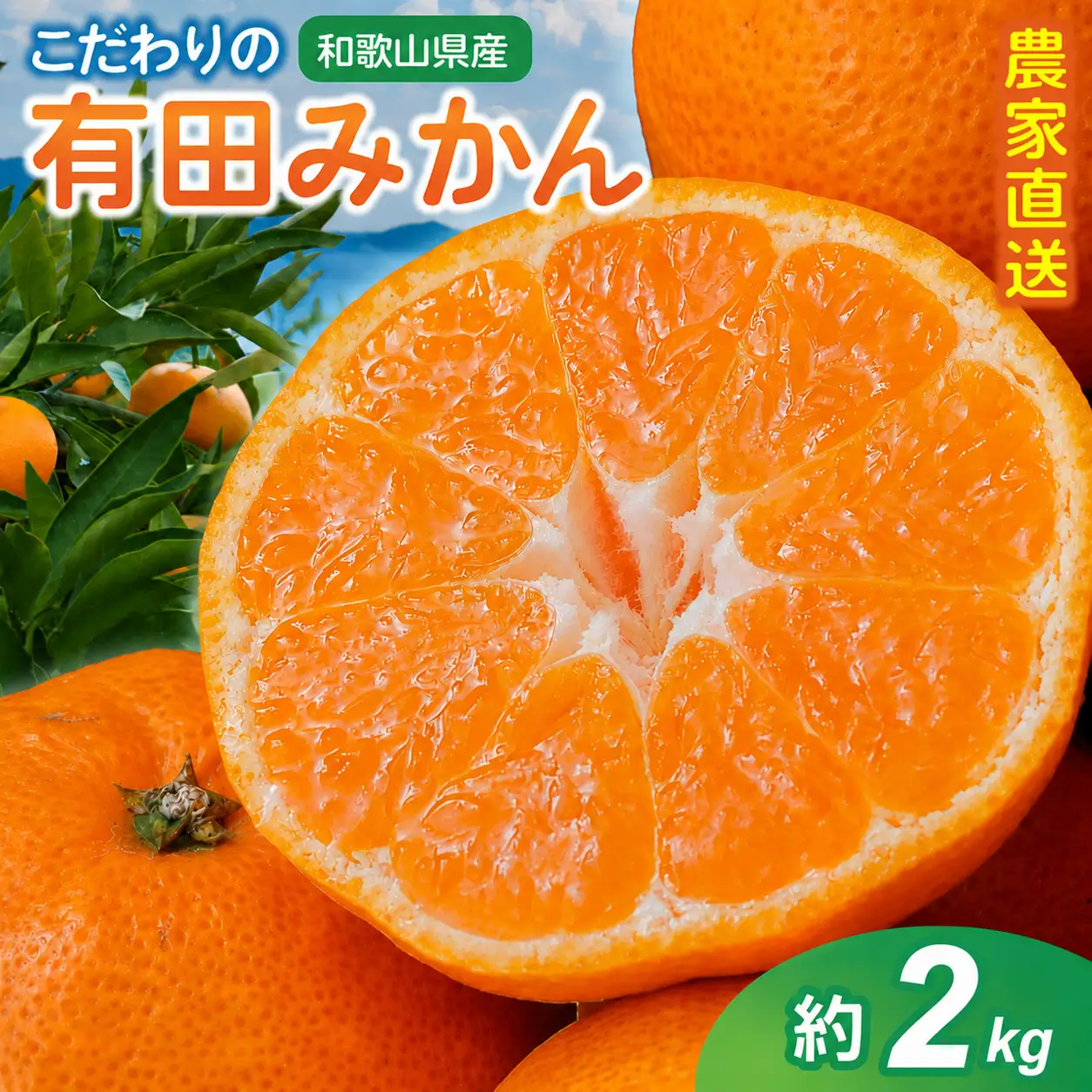【訳あり・ご家庭用】【2026年11月中に順次発送予定】こだわりの有田みかん 約2kg  光センサー選別 農家直送 / みかん ミカン 有田みかん 温州みかん 柑橘 フルーツ 果物 くだもの 旬 人気 みかん先行予約 家庭用 和歌山【CE-nuk159C-11】
