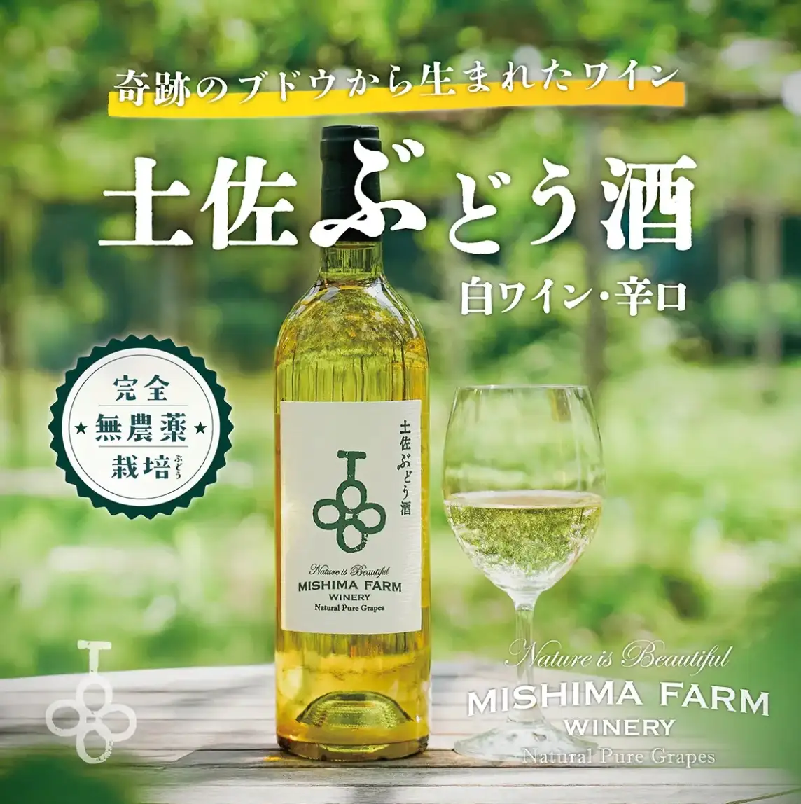 土佐ぶどう酒　白[mf-001]