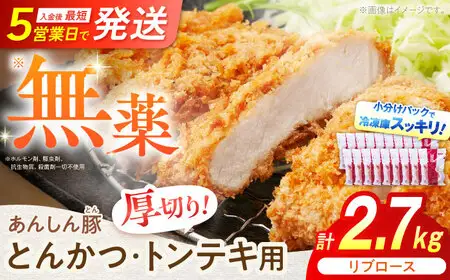 豚肉 リブロース 計2.7kg 藤井ファーム[AWAF069]トンテキ
