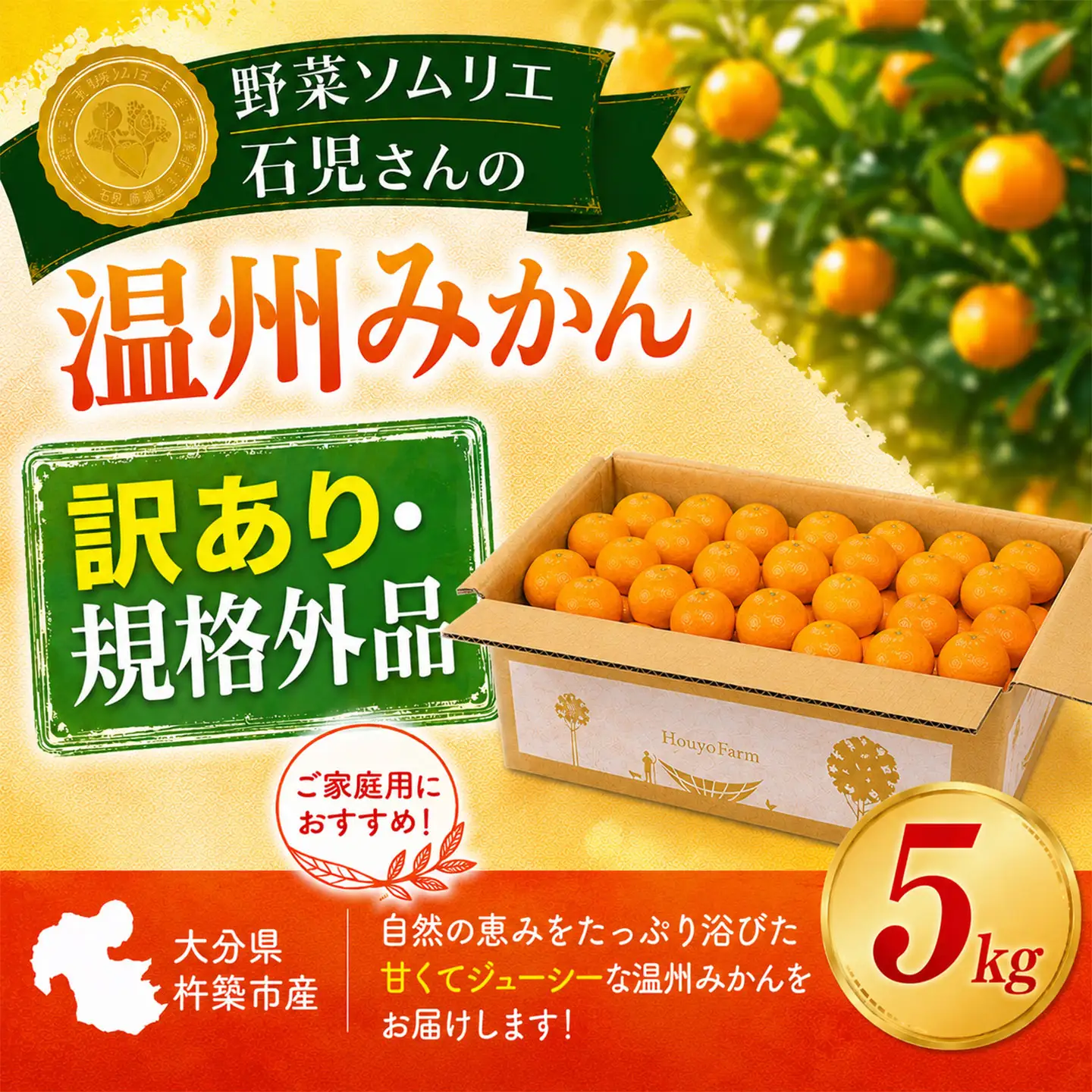 温州みかん 5kg 訳あり 規格外 5キロ 柑橘 先行予約 野菜ソムリエ石児さん 豊予農場 ＜103-036＞