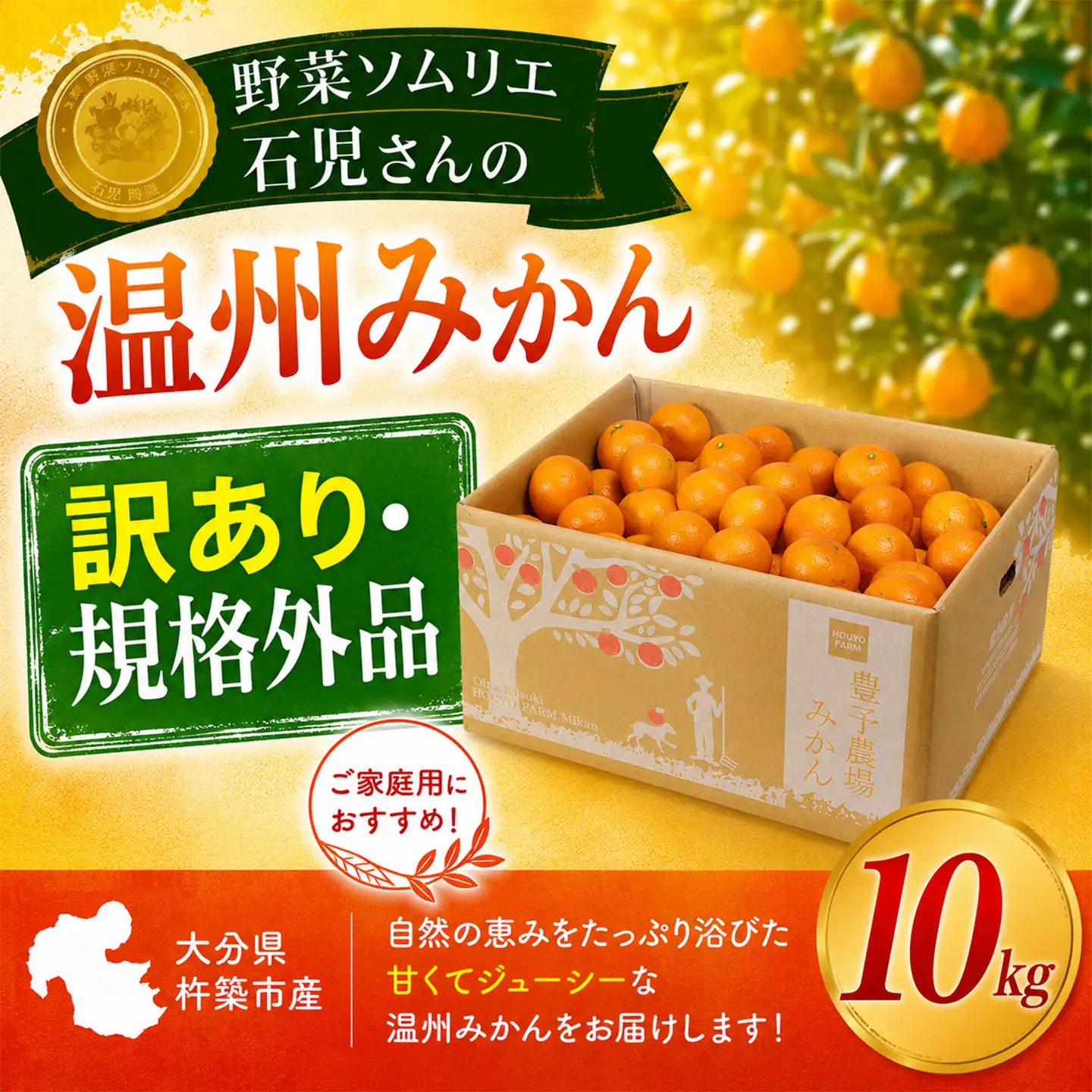 温州みかん 10kg 訳あり 規格外 10キロ 柑橘 先行予約 野菜ソムリエ石児さん 豊予農場 ＜103-037＞